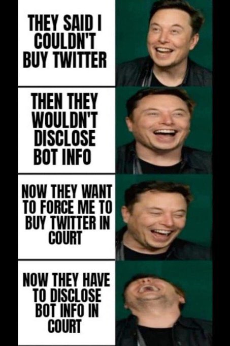 Elon Musk twitter meme